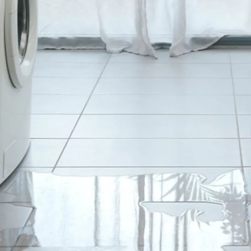 Appliance Leak Cleanup in Darlington, WI