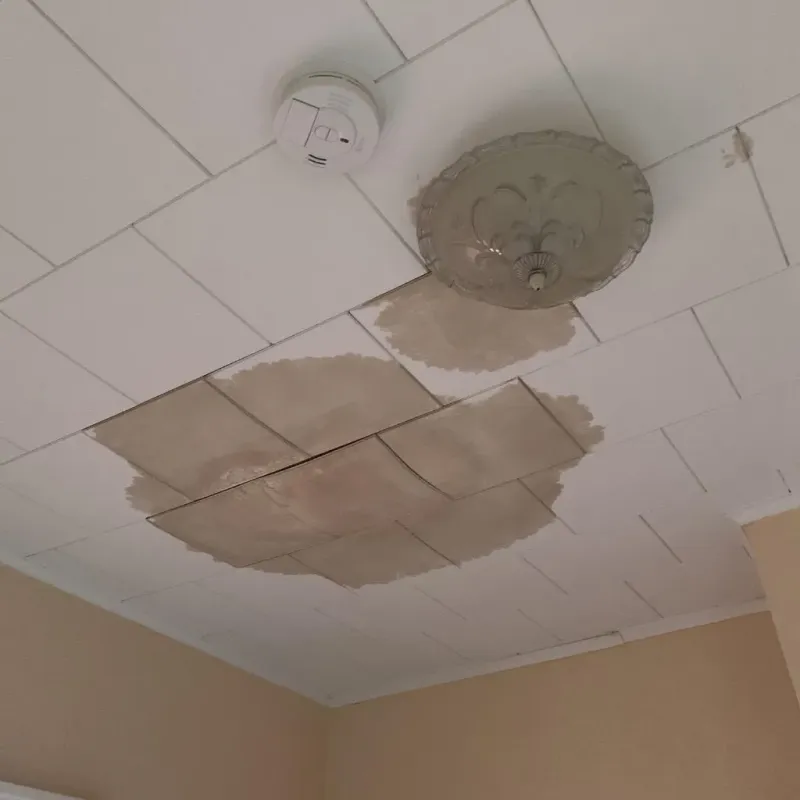 Ceiling Water Damage Repair in Darlington, WI