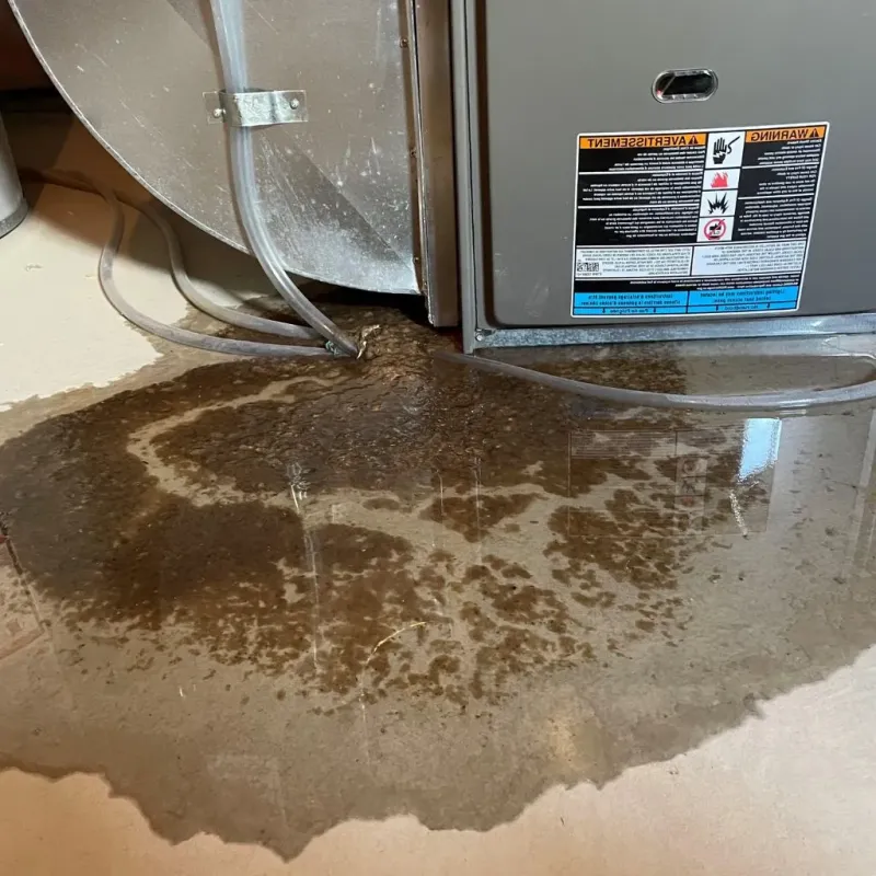 Pipe Burst and Leak Restoration in Darlington, WI