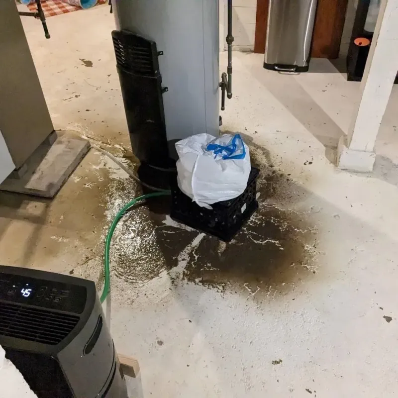 Sewage Backup Cleanup Service in Darlington, WI